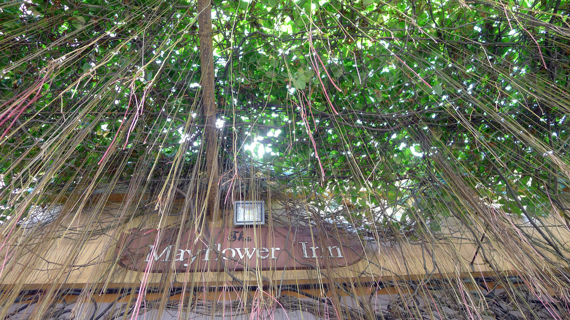 The Mayflower Inn Cebu Екстериор снимка